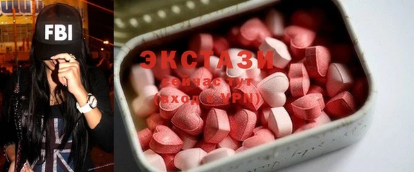 индика Алексин
