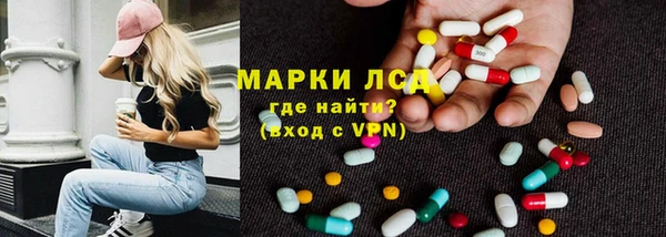 индика Алексин