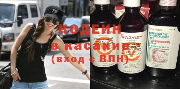 индика Алексин