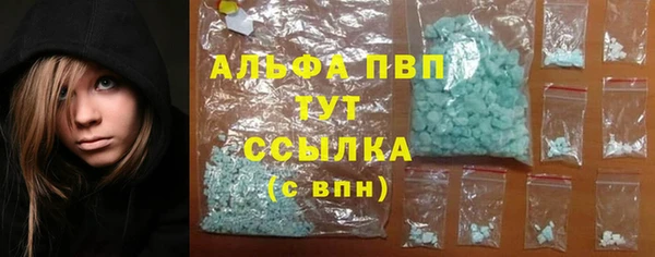 индика Алексин